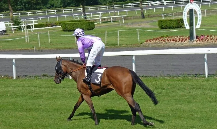 Trải Nghiệm Kịch Tính Cá Cược Đua Ngựa 9Club Đẳng Cấp Hoàng Gia Quốc Tế 2 Cần tìm hiểu kỹ về bộ môn đua ngựa 9Club trước khi cá cược